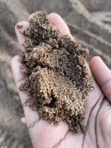 WhatsApp Image 2022-09-22 at 2.31.38 PM-4