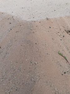 WhatsApp Image 2022-09-22 at 2.31.38 PM-5