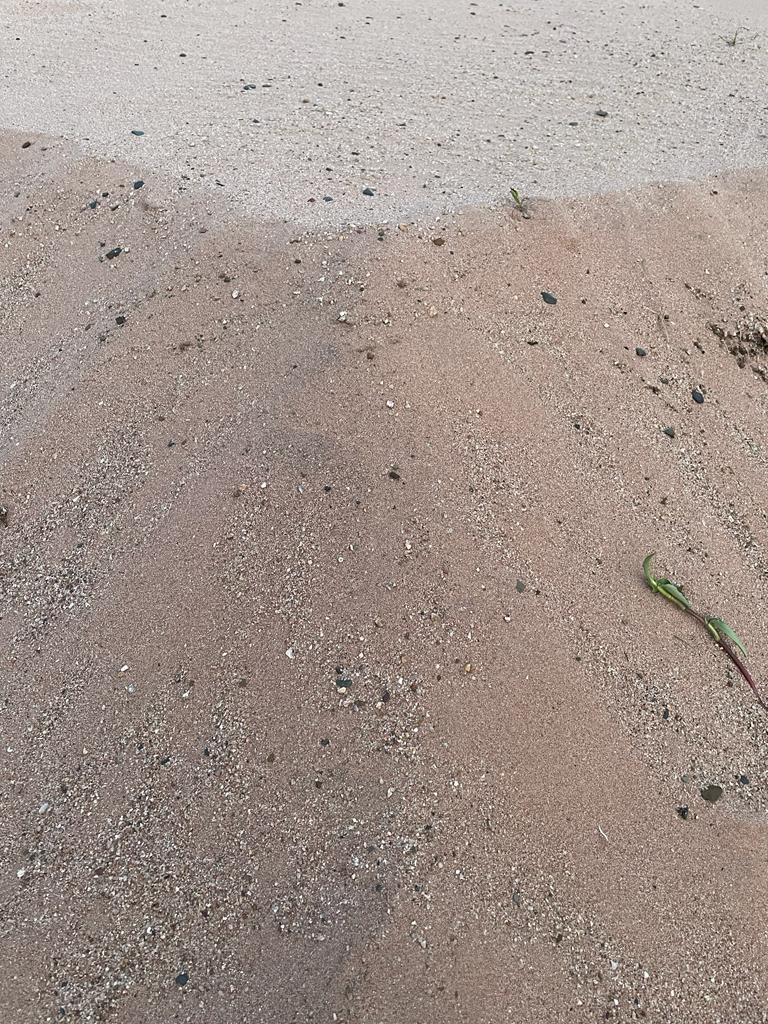 WhatsApp Image 2022-09-22 at 2.31.38 PM-5