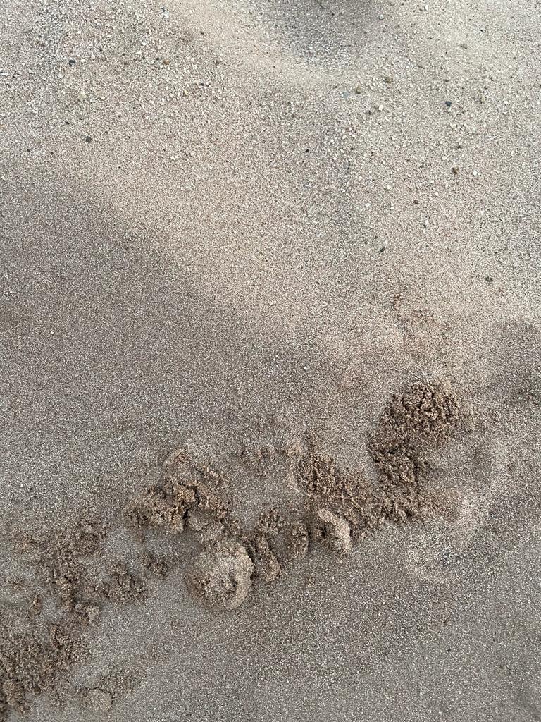 WhatsApp Image 2022-09-22 at 2.31.38 PM