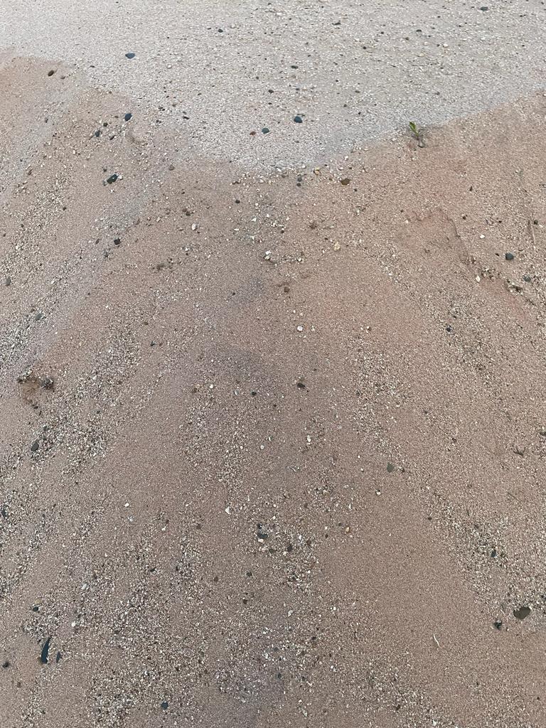 WhatsApp Image 2022-09-22 at 2.31.39 PM