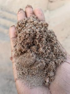 WhatsApp Image 2022-09-22 at 2.31.39 PM-2